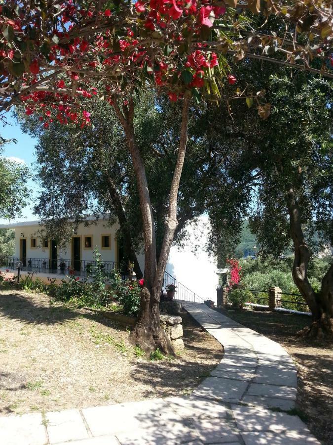 Katerina Studios Paleokastritsa Exterior foto